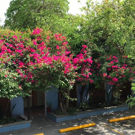 Hotel Hacienda Del Viejo Matamoros  Exterior photo